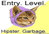Hipster Kitty