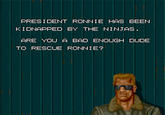 Bad Dudes