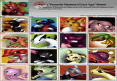 Pokemon Type Meme