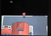 pokemon glitches