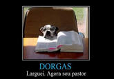 Dorgas