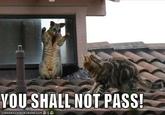 You Shall Not Pass!!!