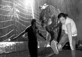 Mosh Girl (Moshzilla)
