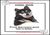 Cool Dog