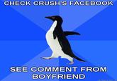 Socially Awkward Penguin