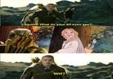 What do your elf eyes see?