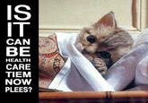 Is it can be hugs tiem now plees?