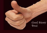 Cool Story, Bro