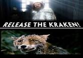 chaos reigns
