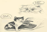 Kittens Inspired By Kittens