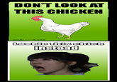Don't Look At This Chicken