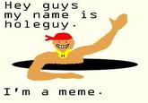 HoleGuy