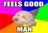 Birthday Dog