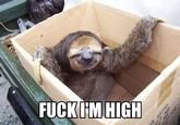 I'M SO FUCKING STONED