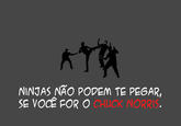 Fatos Curiosos Sobre Ninjas / Curious Ninjas Facts