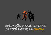 Fatos Curiosos Sobre Ninjas / Curious Ninjas Facts