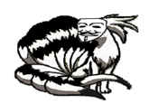 Ninetails (200M get)