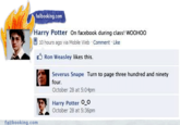 Novelty Social Networking Accounts