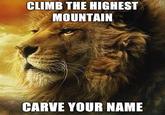 Power Lion