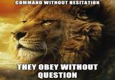 Power Lion