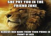 Power Lion