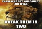 Power Lion