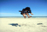 Asiacopter