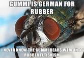 fetish fly