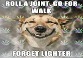 Stoner Dog
