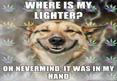 Stoner Dog