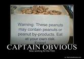 Captain Obvious