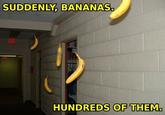 Suddenly, Bananas! Thousands Of Them!