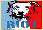 Riot Dog