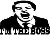 Like A Boss