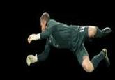 Robert Green Fail