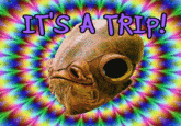 It's A Trap!