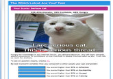 Serious Cat