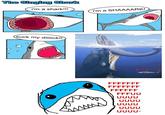 The Singing Shark