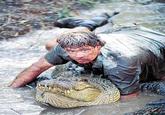 Steve Irwin/Stingrays