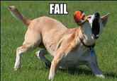 Arjen Robben Ball