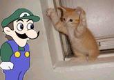 Weegee