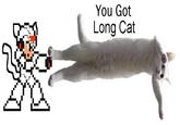 You Got Mega Man