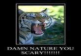 Damn Nature, You Scary!
