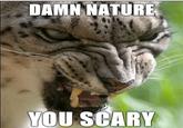 Damn Nature, You Scary!