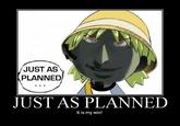 Just As Planned