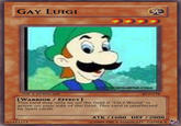 Gay Luigi?