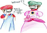 Gay Luigi?