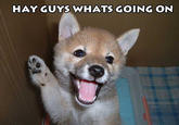 Hey Guys What's Going On This Thread?