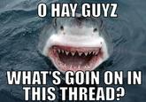 Hey Guys What's Going On This Thread?