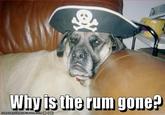 Why is the Rum Gone?